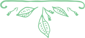 Leaf outline in green
